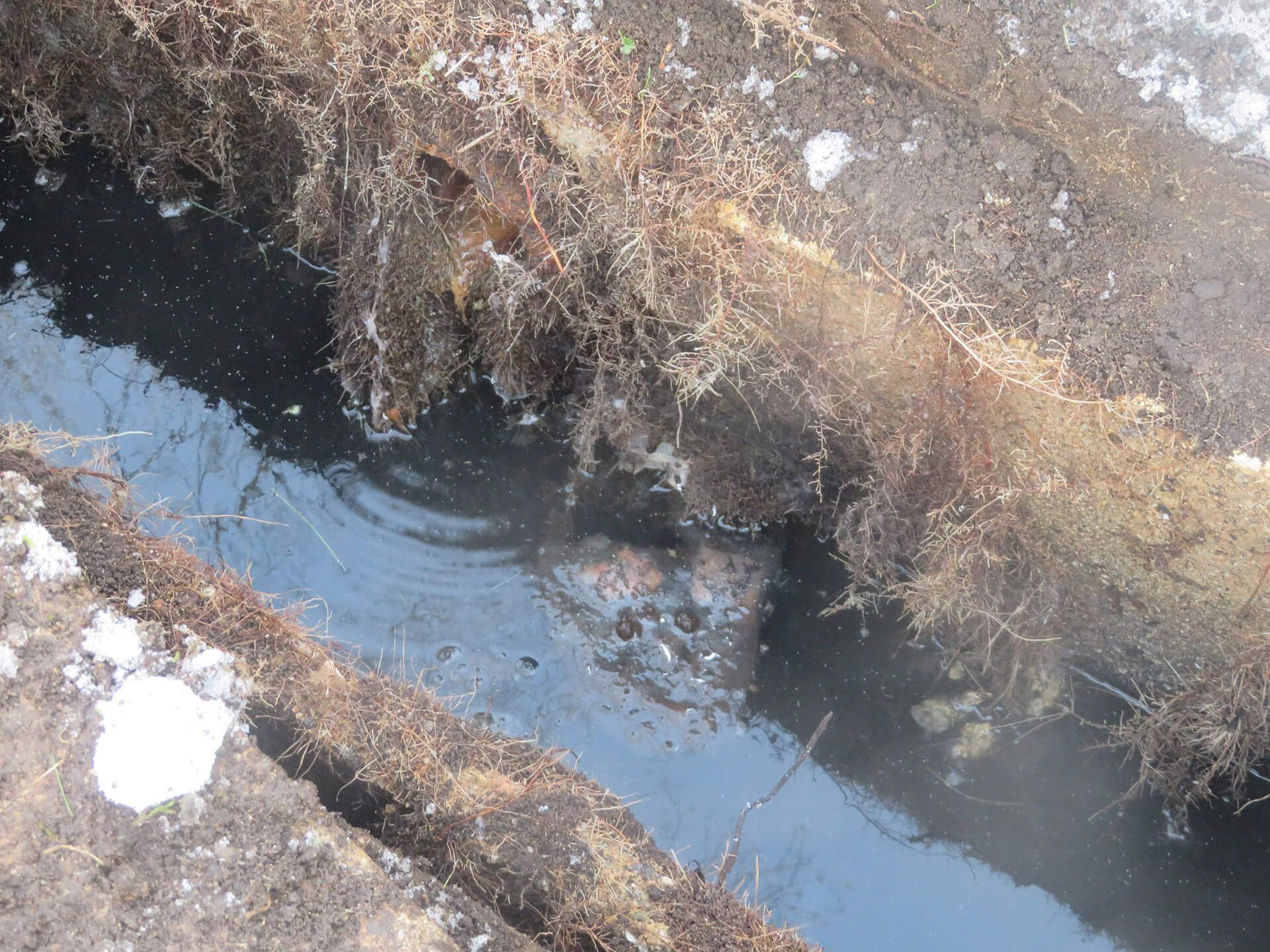 new hampshire home inspections