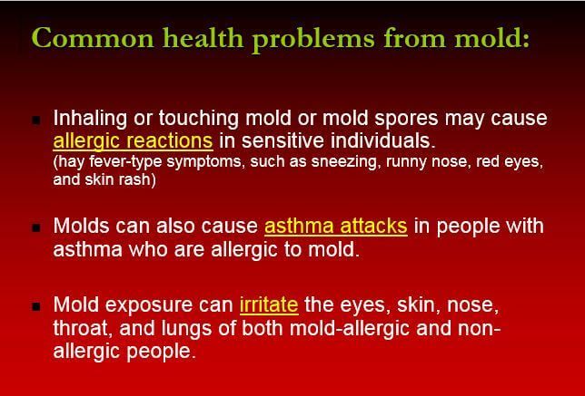 home inspections new hampshire