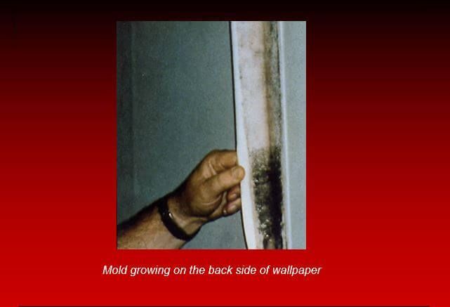 new hampshire home inspections