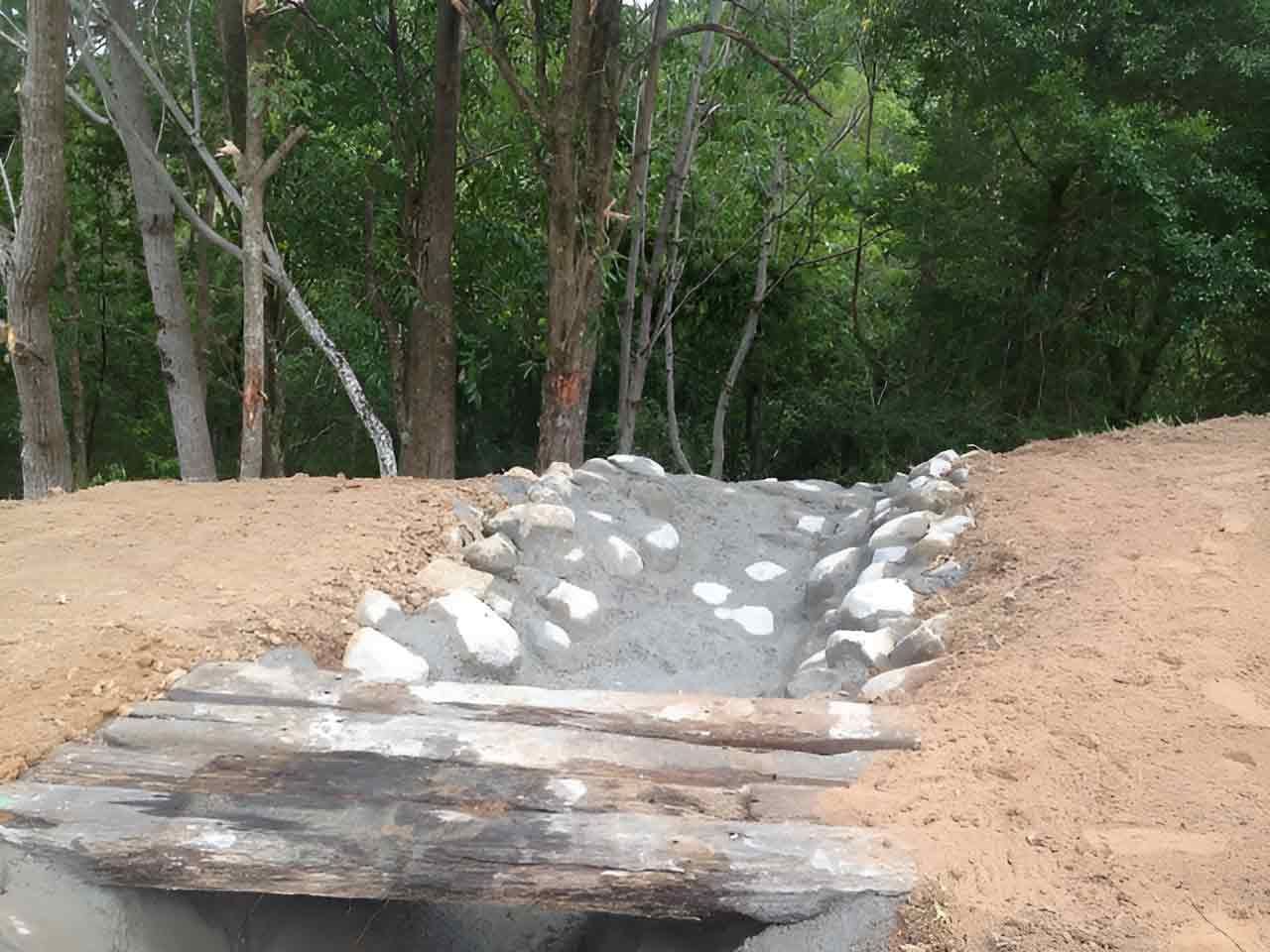 A Dirt Path In The Middle Of A Forest With Trees In The Background — A2Z Property Services In Goomboorian, QLD