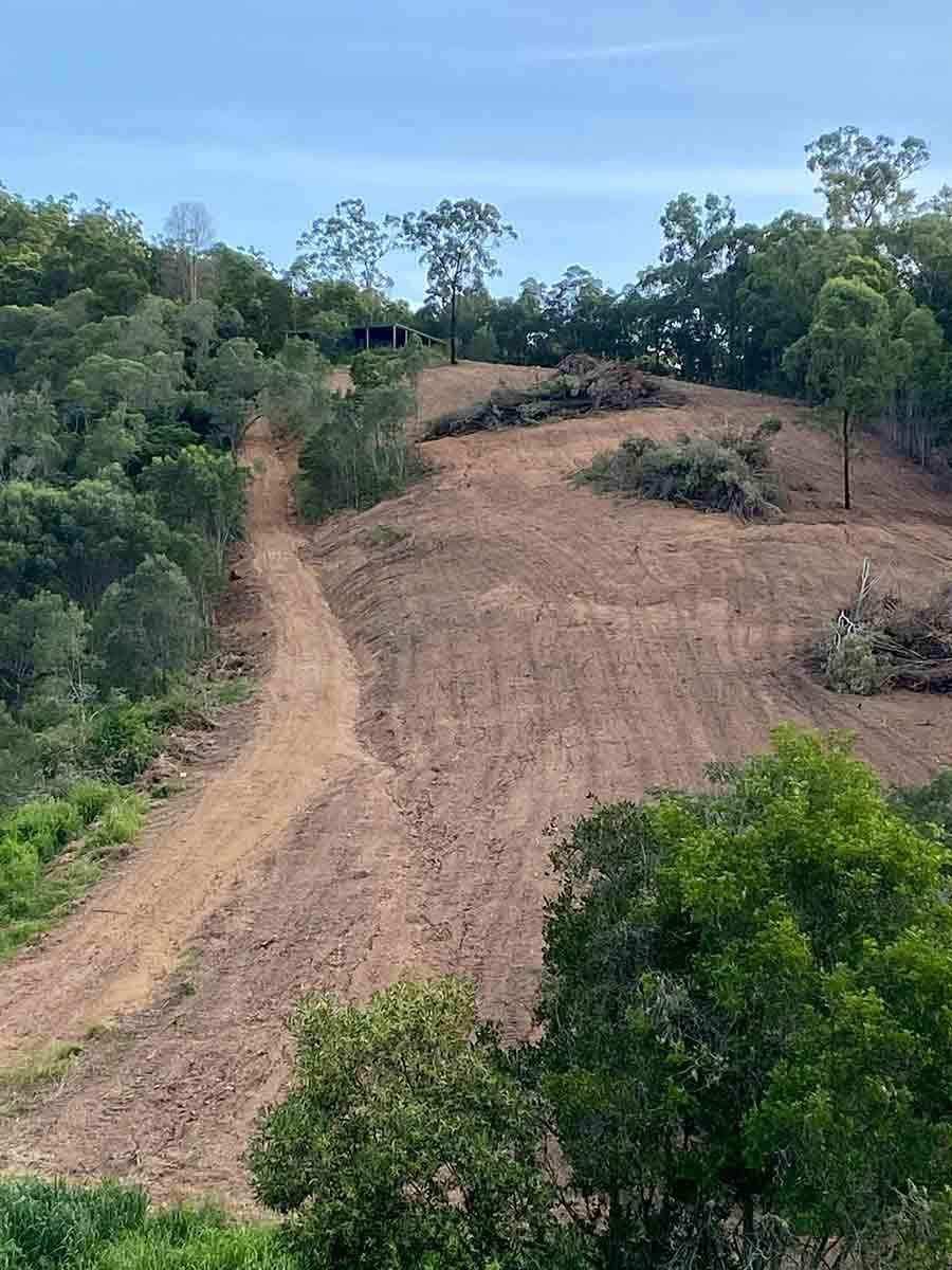 A Dirt Road Going Through A Lush Green Forest — A2Z Property Services In Kybong, QLD