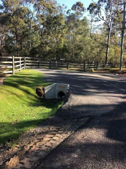 A Trash Can Is Sitting On The Side Of A Road Next To A Fence — A2Z Property Services In Kenilworth, QLD