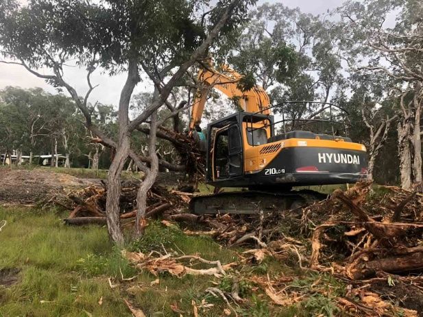 A Large Excavator Is Cutting Down Trees In A Field — A2Z Property Services In Woolooga, QLD