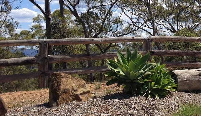 A Wooden Fence With Trees In The Background And A Plant In The Foreground — A2Z Property Services In Kybong, QLD
