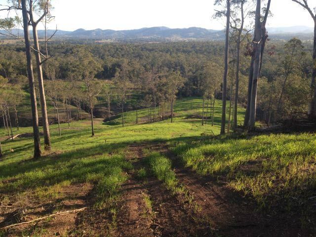 A Dirt Road Going Through A Grassy Field With Trees In The Background — A2Z Property Services In Widgee, QLD