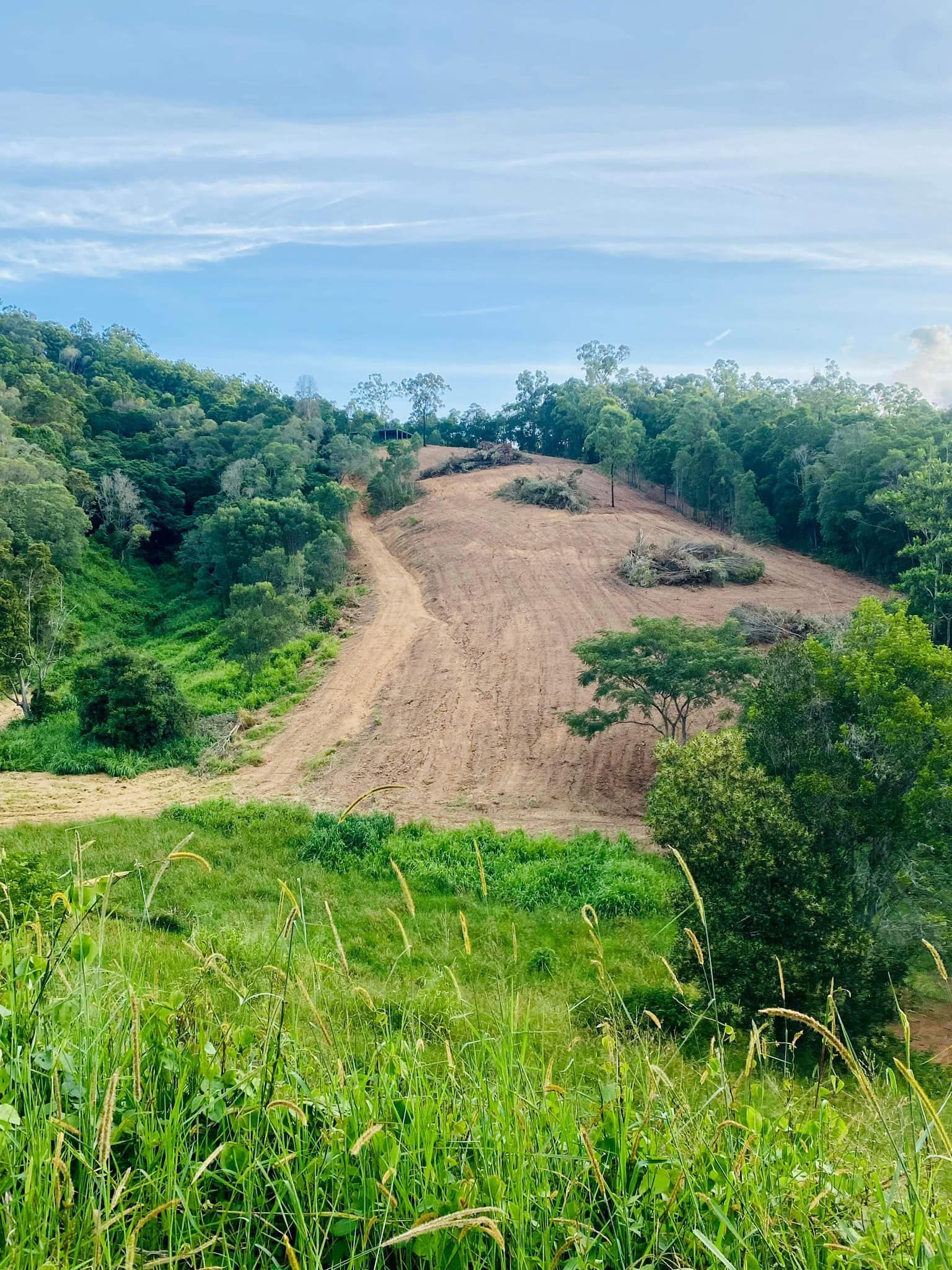 A Grassy Hillside with A Cleared Patch of Land Surrounded by Lush Green Trees — A2Z Property Services In Cooroy, QLD