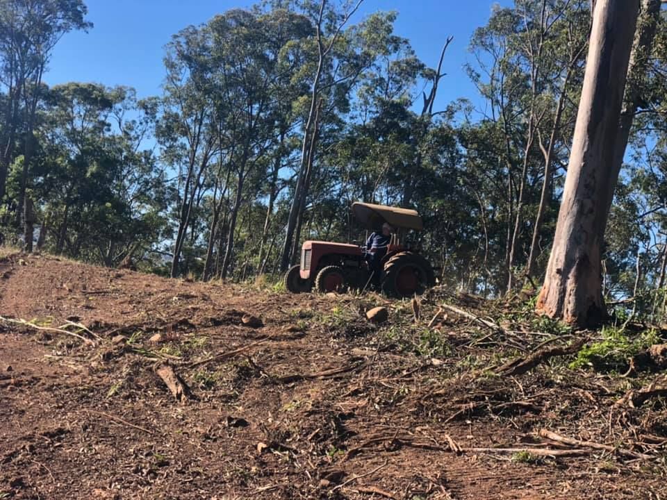 A Tractor on A Dirt Hill Clearing Trees — A2Z Property Services In Cooroy, QLD
