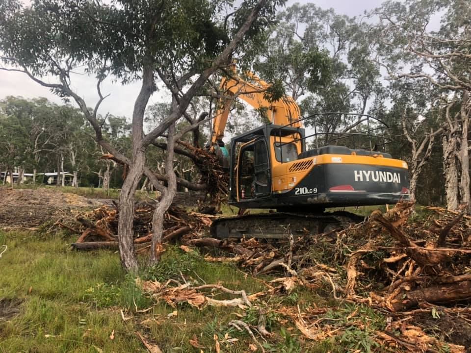 A Hyundai Excavator Clearing Trees in A Grassy Area — A2Z Property Services In Cooroy, QLD