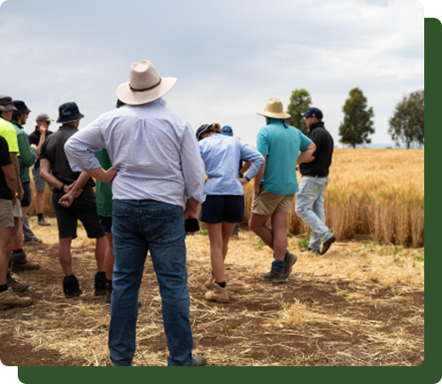 A group of people in casual clothing and hats standing in a field with wheat behind them on a cloudy day.