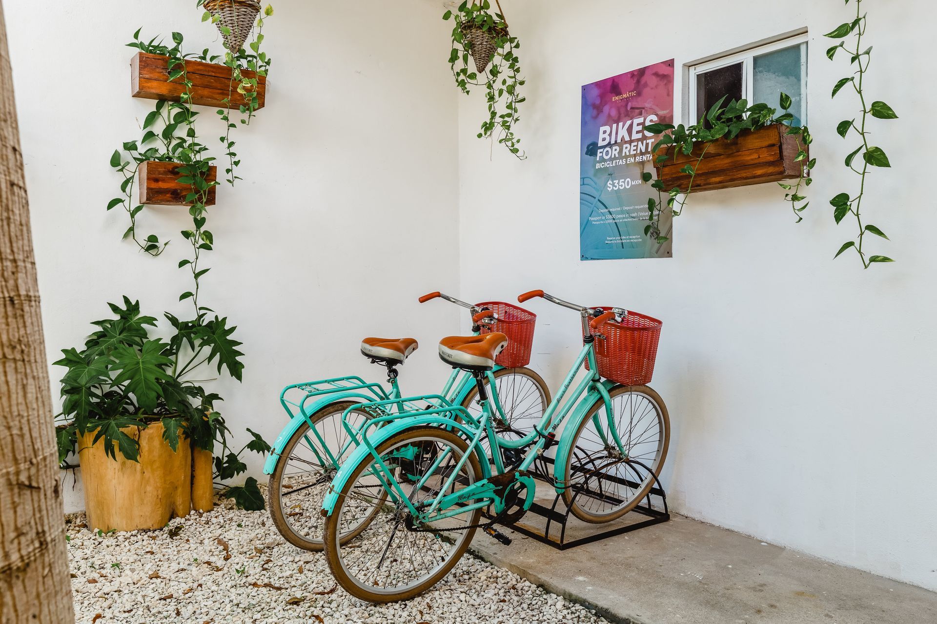 Two bicycles are parked in front of a white wall.