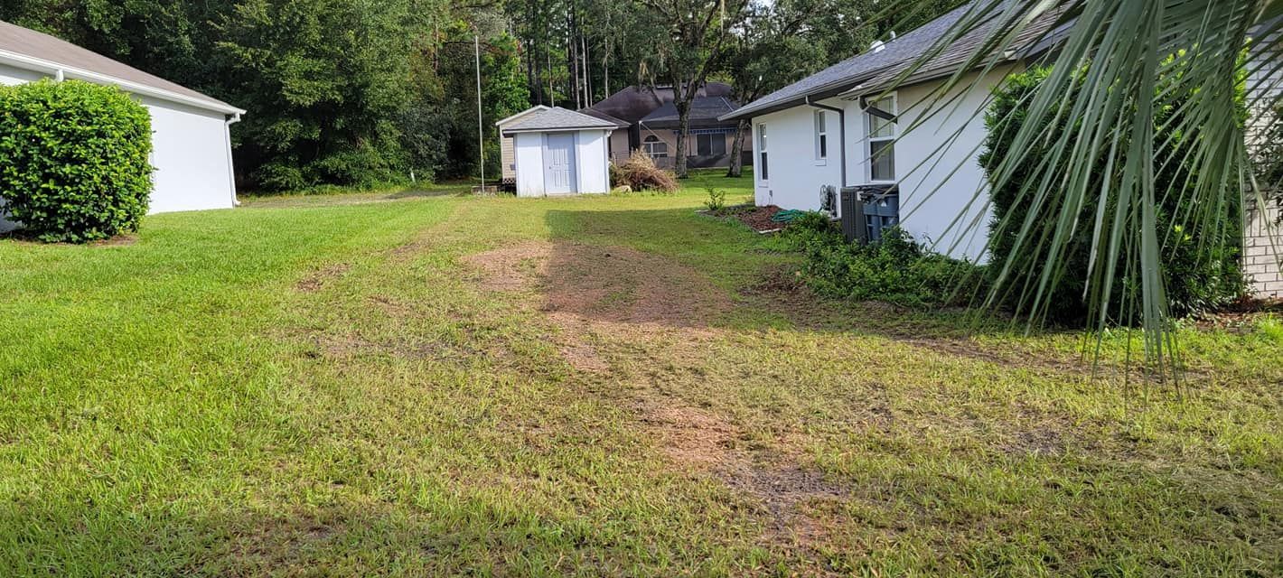 Grassy backyard with a path, small shed, and white houses.