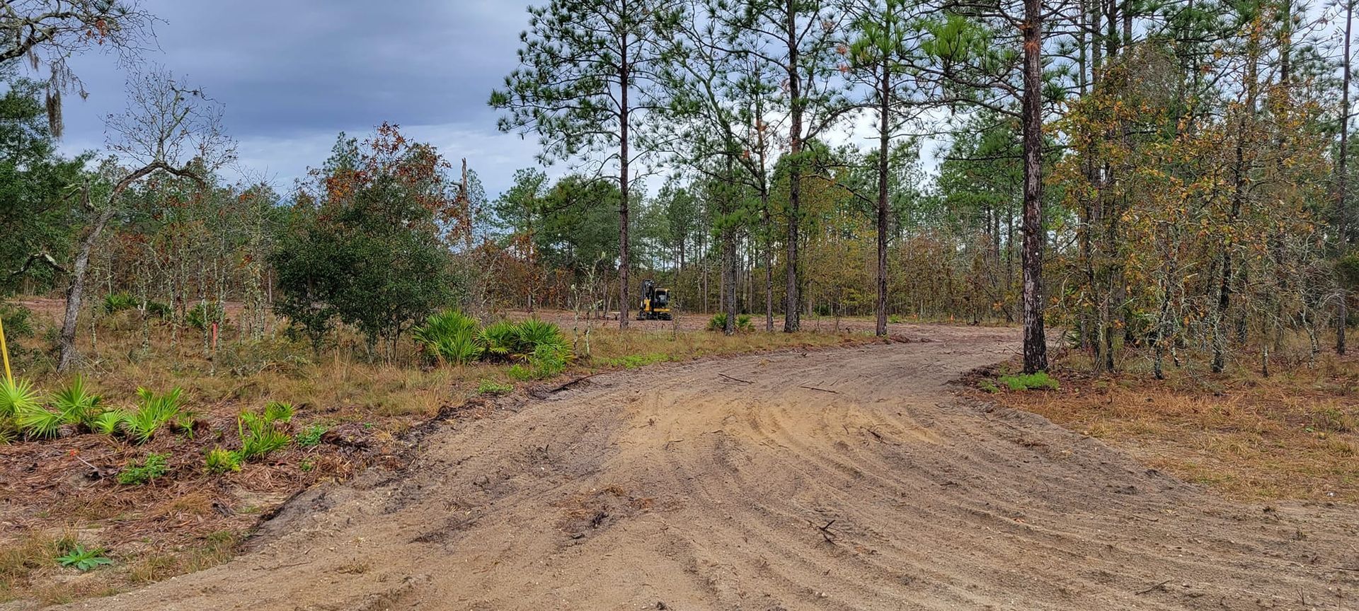 Dirt road curves into a forest of trees under a cloudy sky.