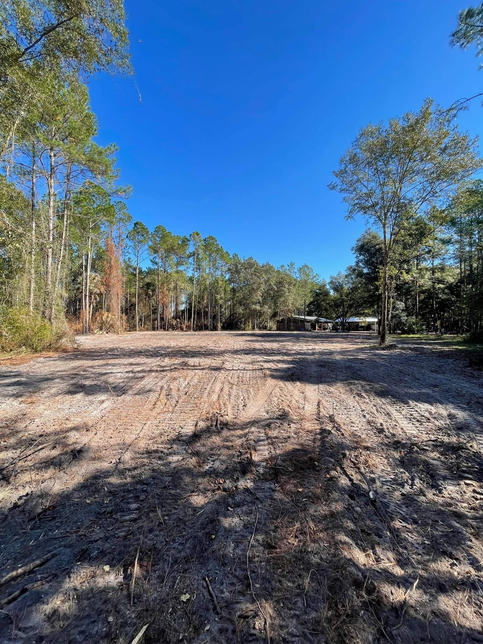 Cleared dirt lot surrounded by trees under a bright blue sky.