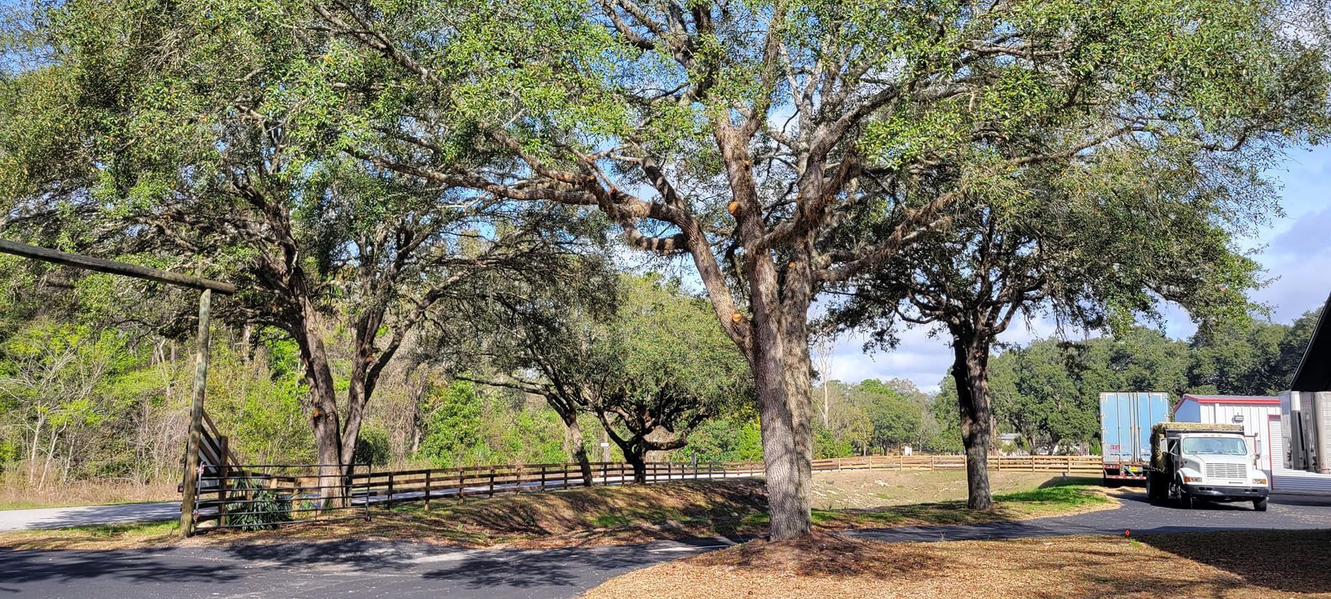 Trees frame a field with a truck parked in the distance. The sky is partly visible.