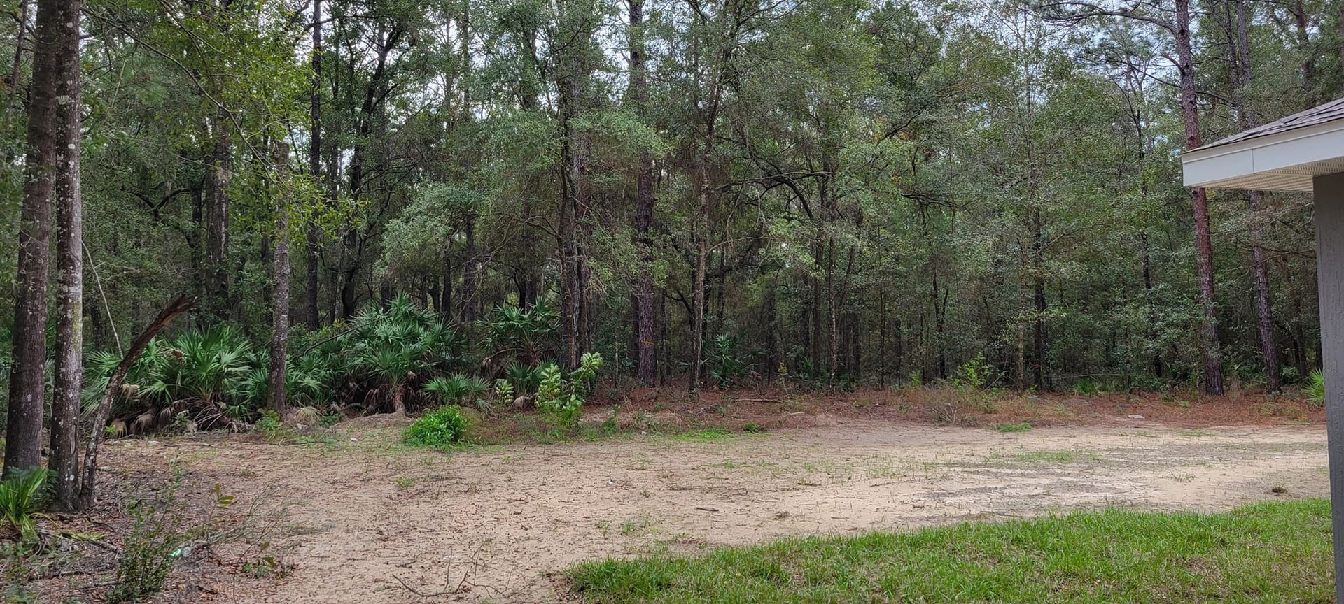 A dirt road with green grass leads to a forest of trees. A corner of a building is visible.