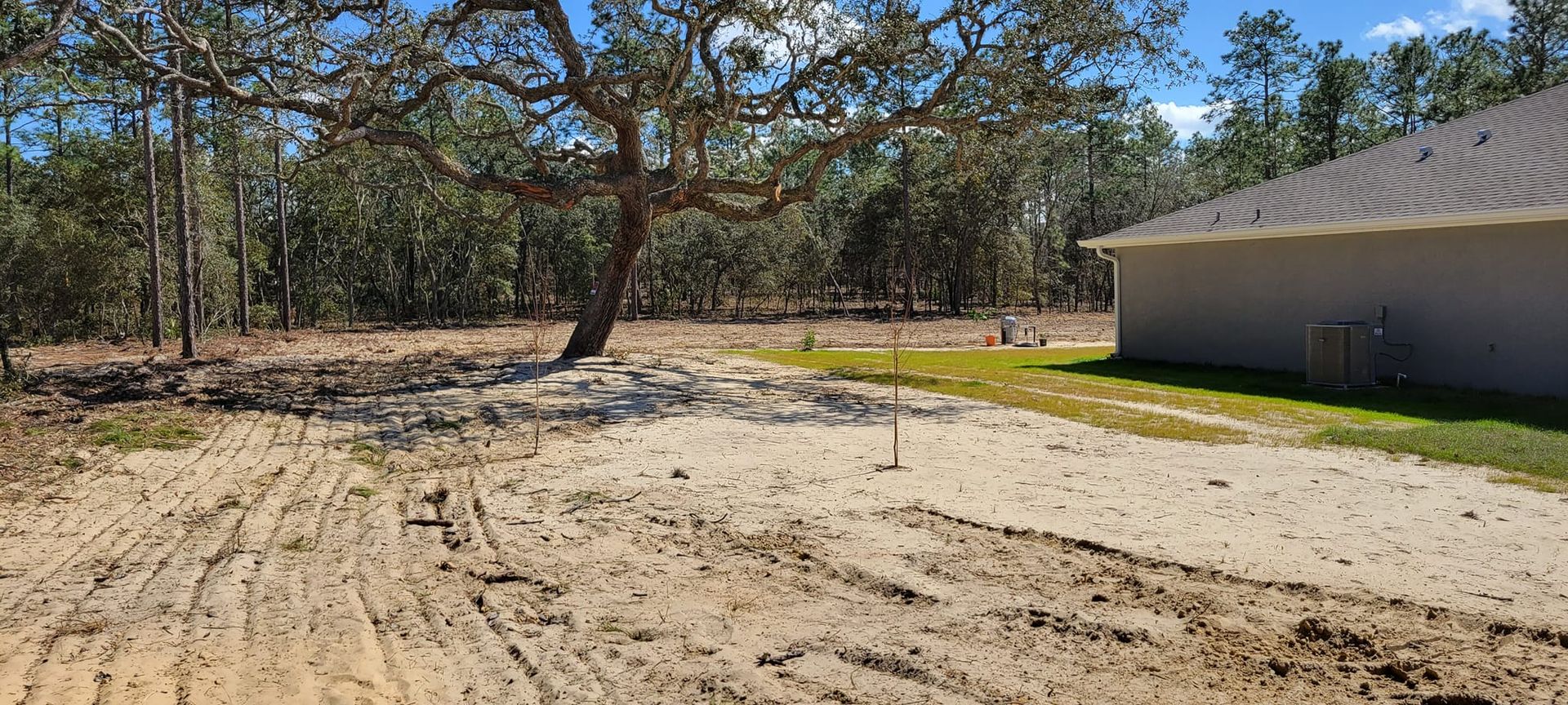 Cleared lot with sandy ground, a large tree, and a house with a dark roof.