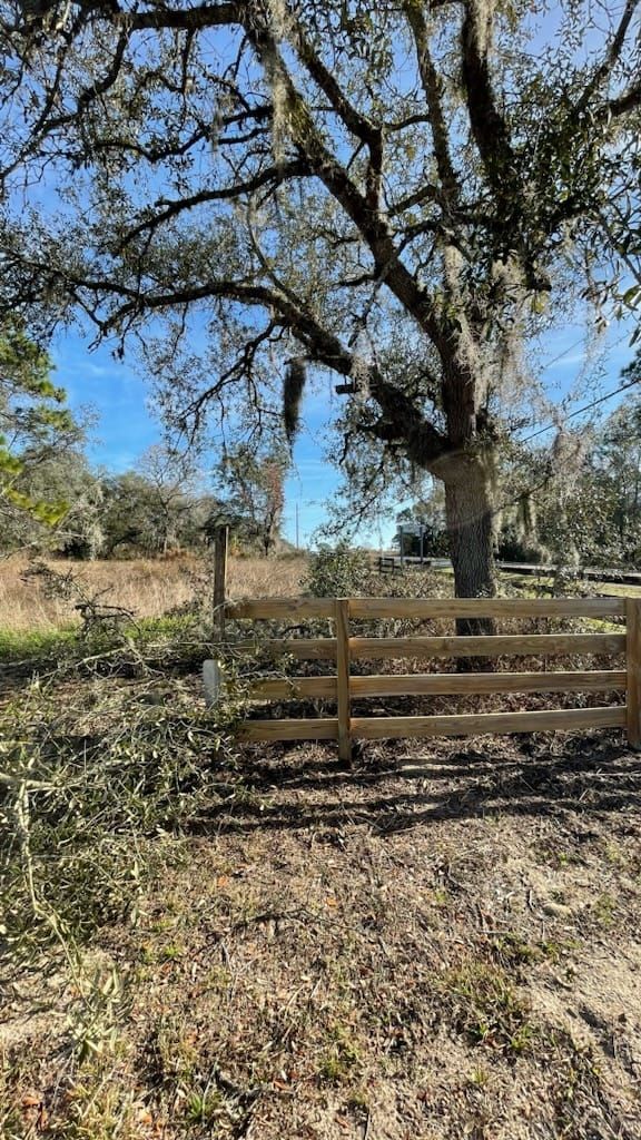 Wooden fence in front of a tree draped with Spanish moss against a clear blue sky.