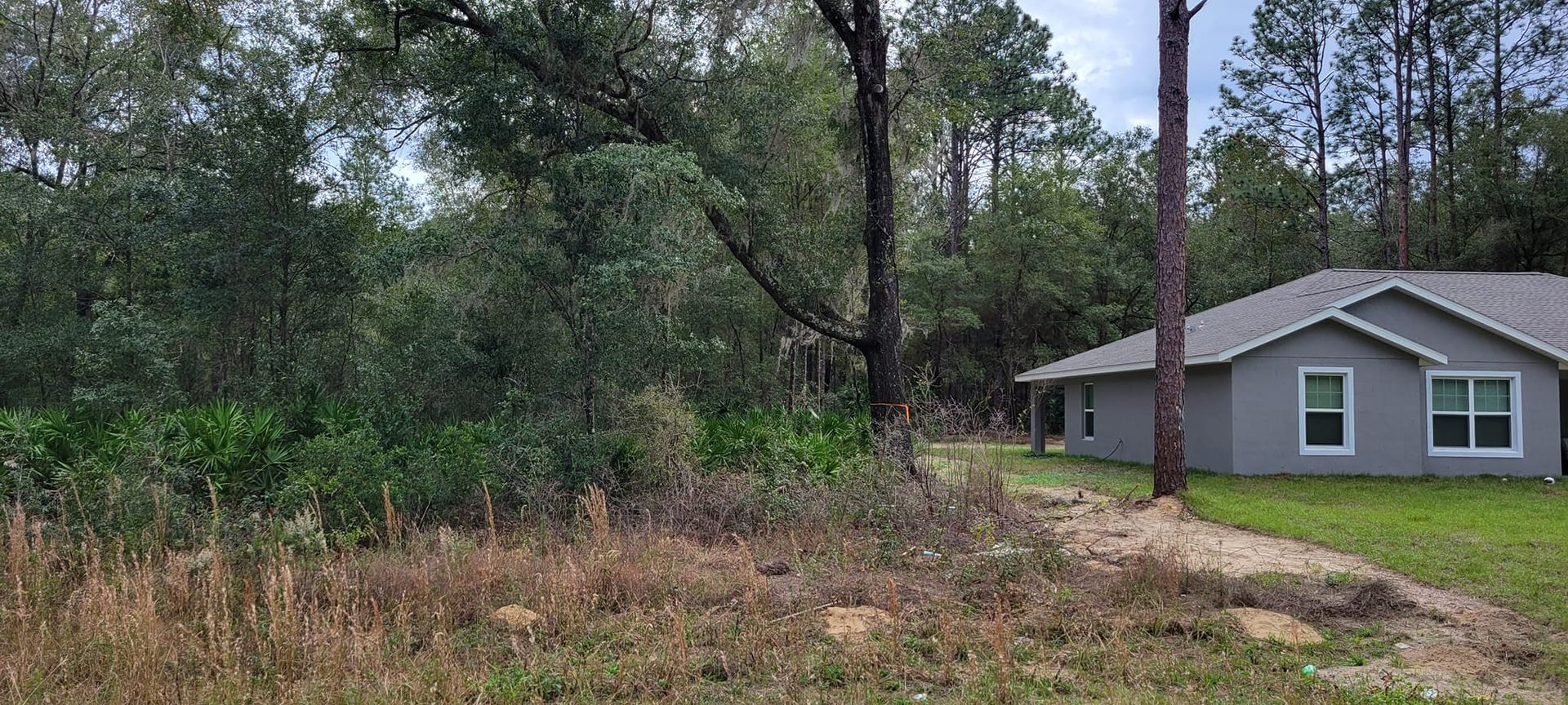 A house with a gray exterior sits next to overgrown brush and trees.
