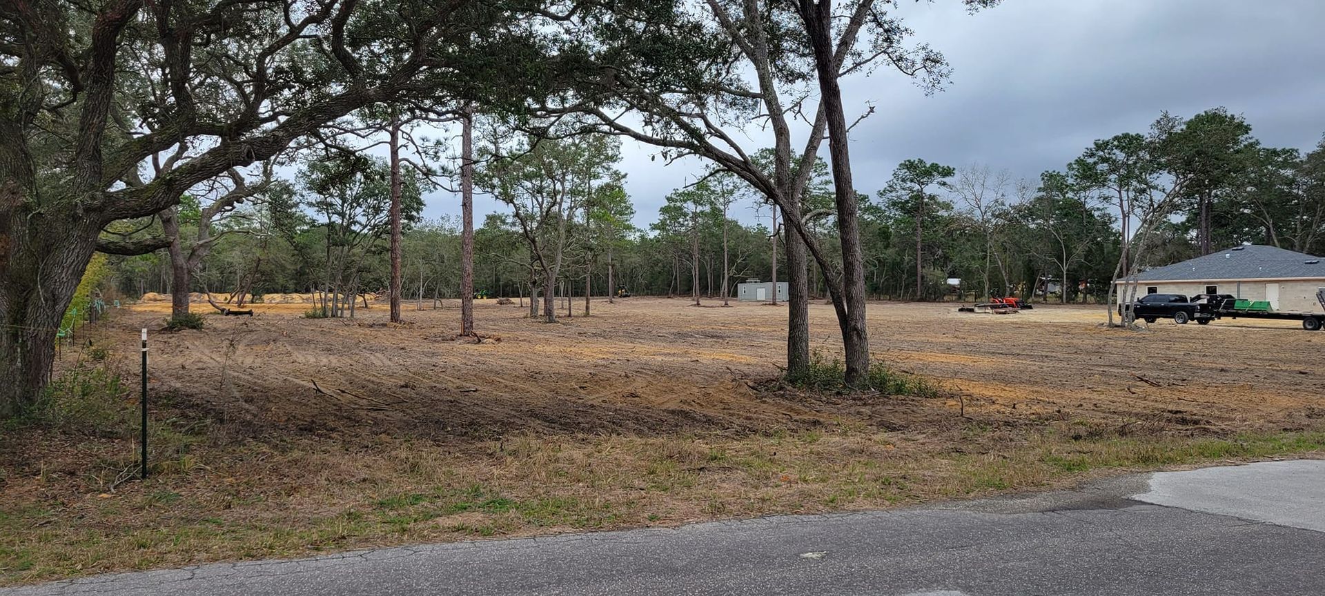 A clearing with scattered trees, a house, and an overcast sky.
