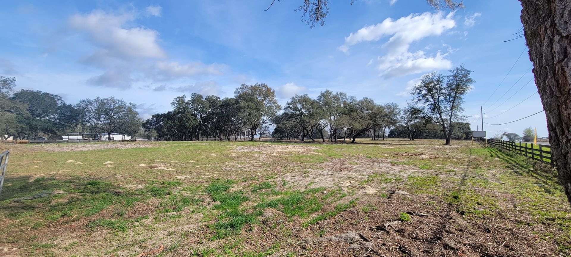 A grassy field with scattered trees under a partly cloudy blue sky. A tree trunk is on the right.