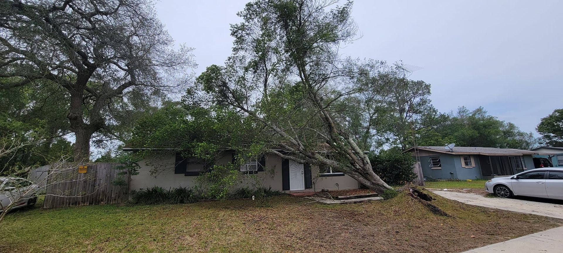 A tree has fallen on a house. The house is small and light-colored. A car sits in the driveway.
