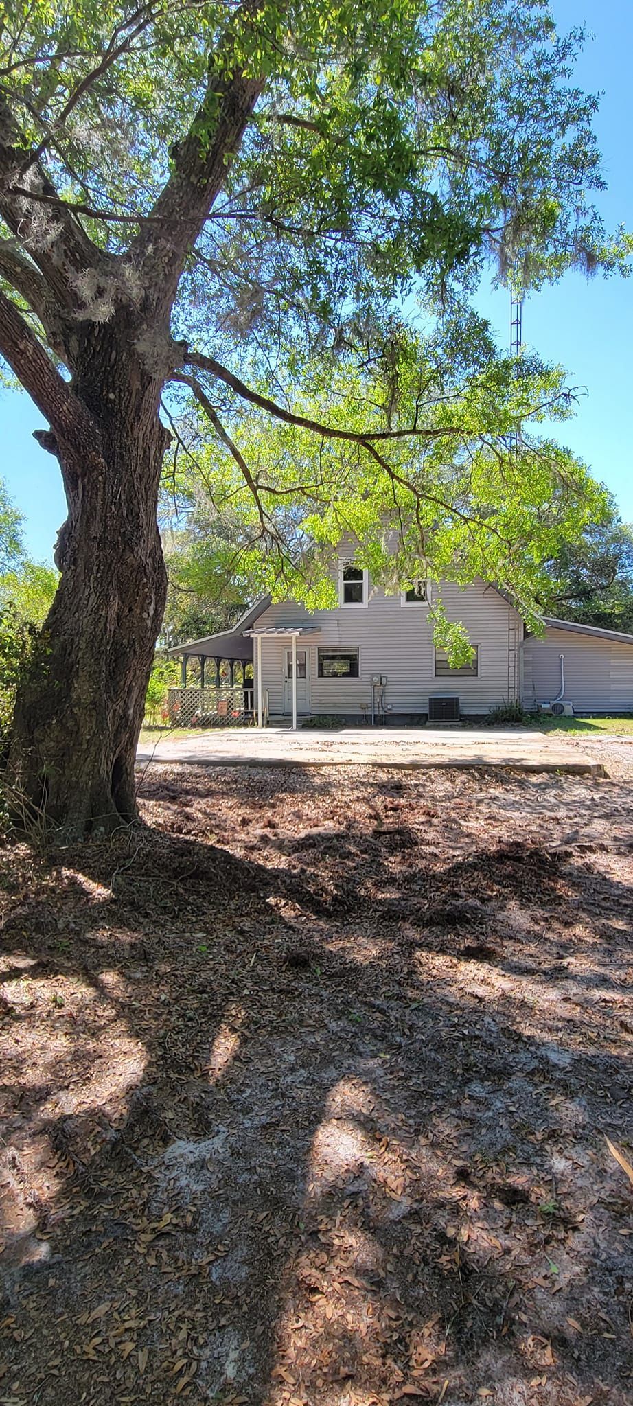A weathered tree in the foreground obscures a single-story house on a sunny day.