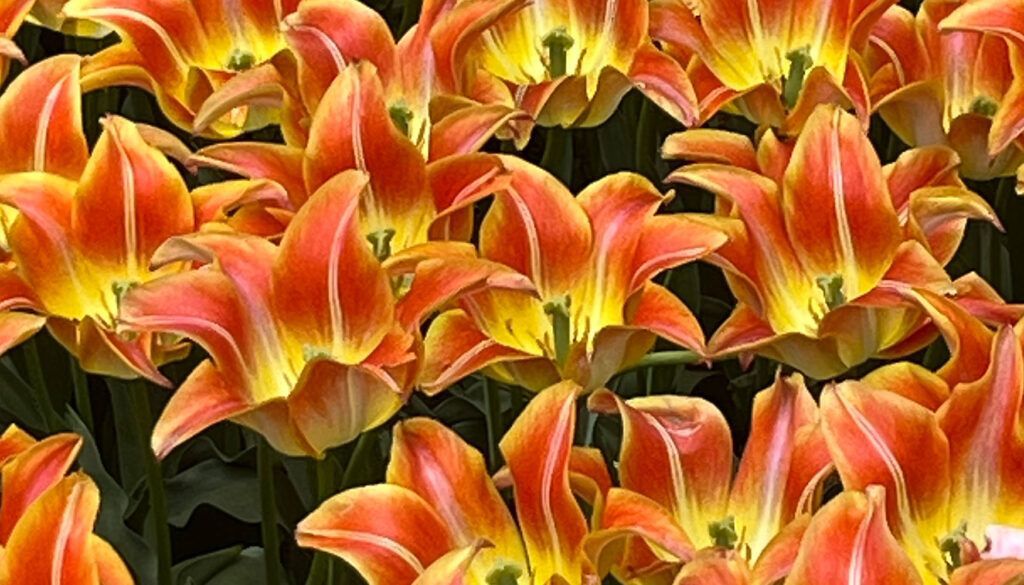 blog 1 featured blog 1 featured