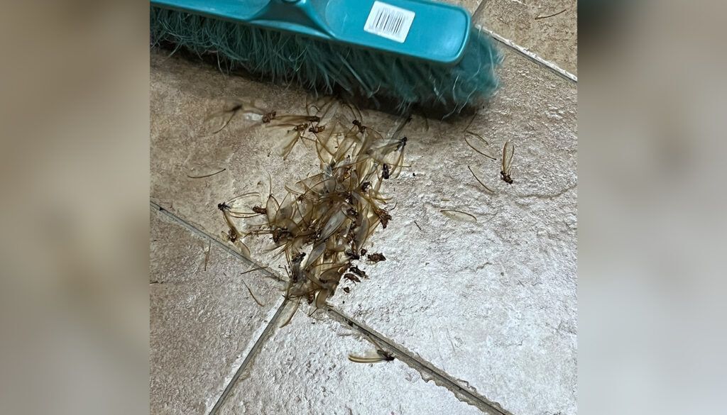 blog2featuredtrip14 blog2featuredtrip14