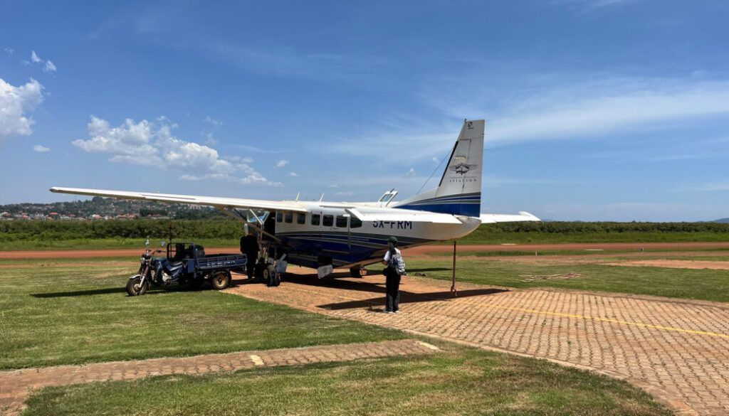 post 8 IMG_2036 post 8 IMG_2036