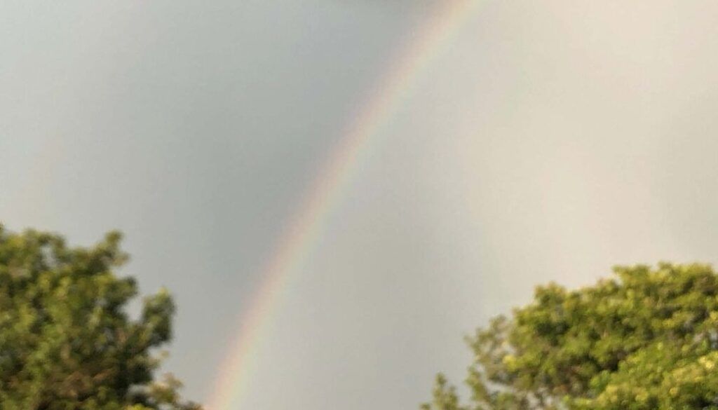Rainbow arcs across a gray sky above green treetops.