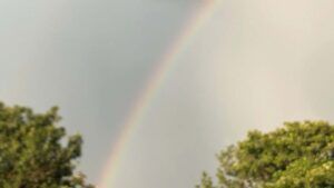 Rainbow arcs across a cloudy sky above green tree tops.