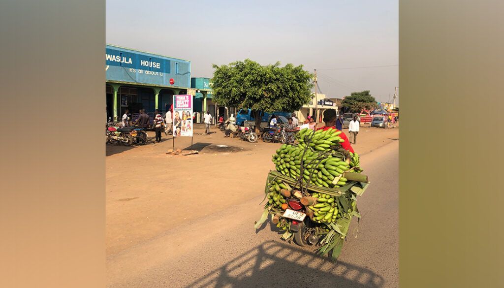 Motorcycle carrying large pile of green bananas on a dirt road in front of shops.