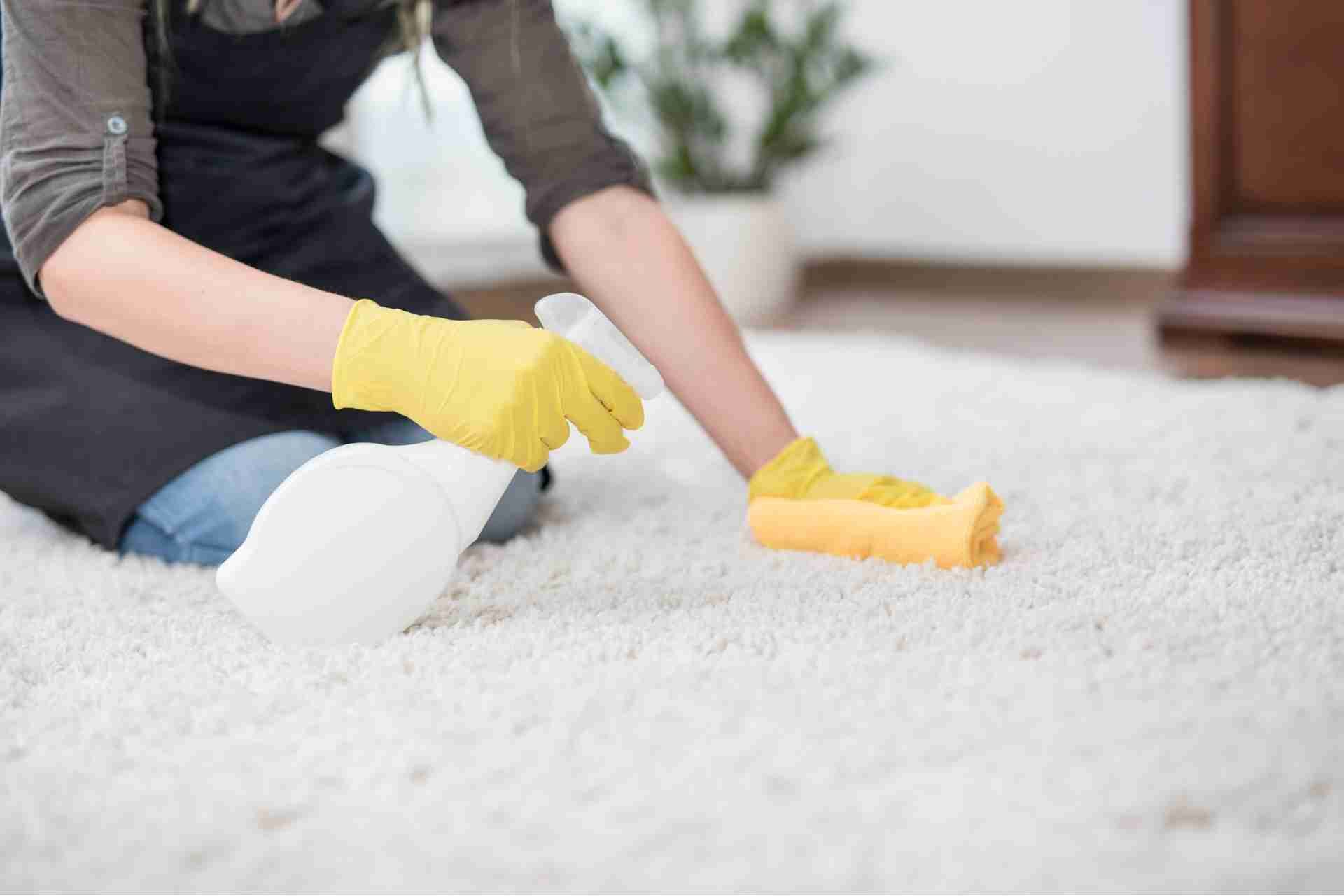 How to Choose the Right Carpet Cleaning Method for Your Home