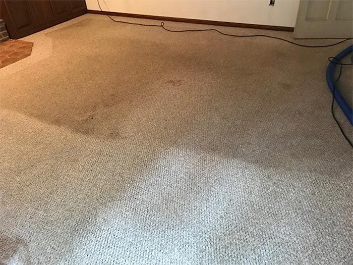 carpet cleaning services pa