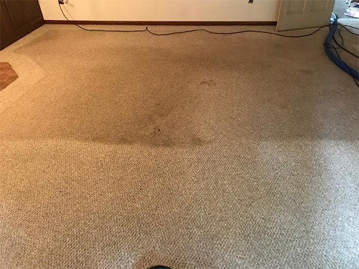 carpet cleaning services pa