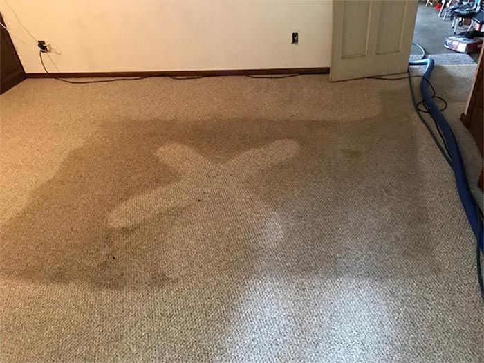 carpet cleaning services pa