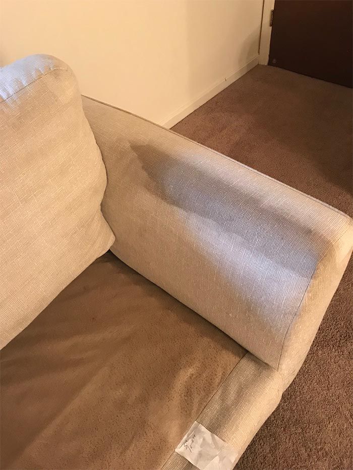 upholstery cleaning service pa