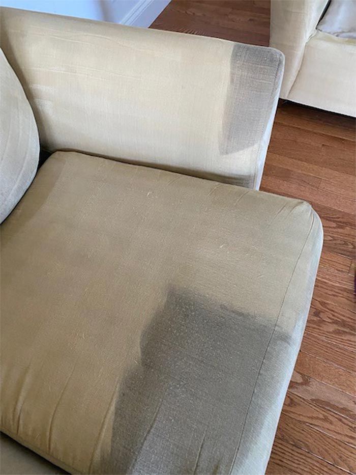 upholstery cleaning service pa