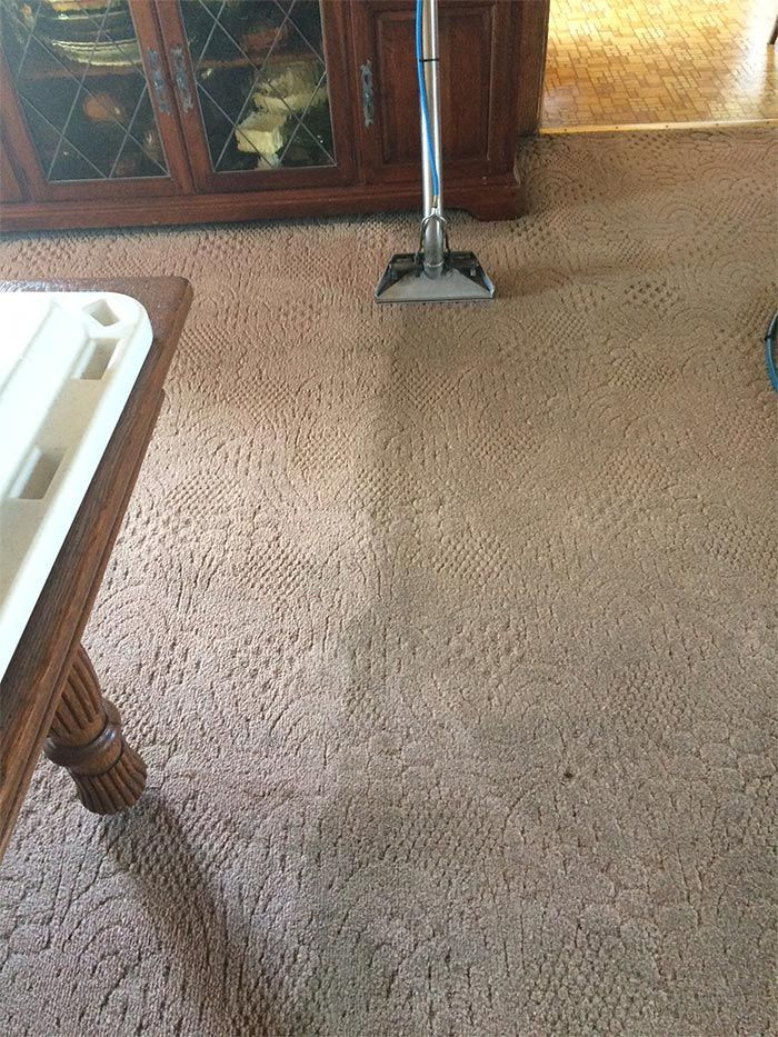 carpet cleaning services pa
