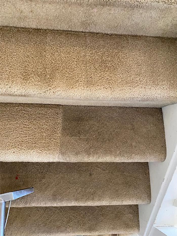 carpet cleaning services pa