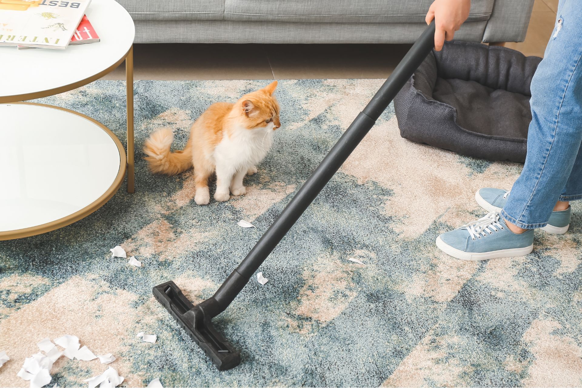 best flooring options for pet owners