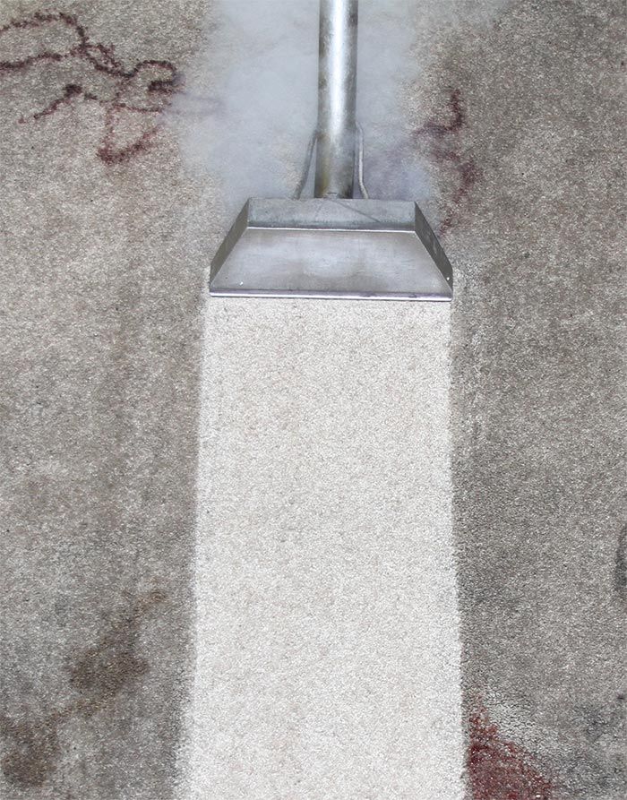 carpet cleaning services pa