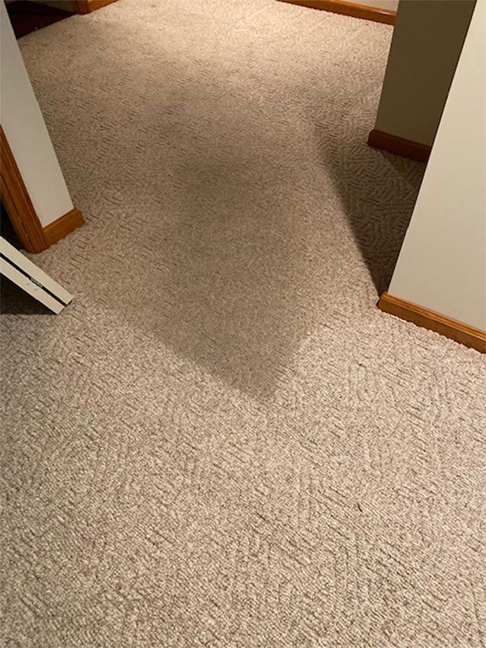 carpet cleaning services pa