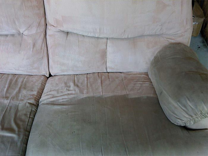 upholstery cleaning service pa