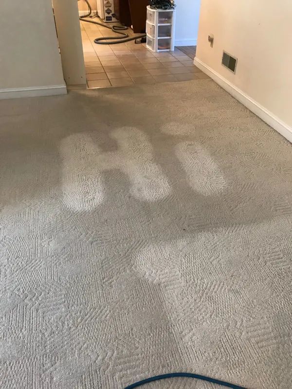 Carpet, Upholstery & Tile Cleaning