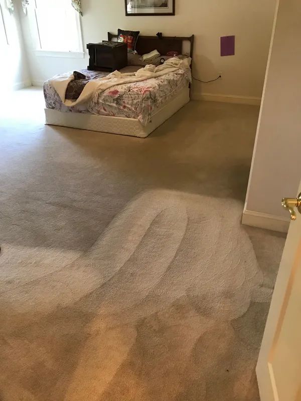 Carpet, Upholstery & Tile Cleaning