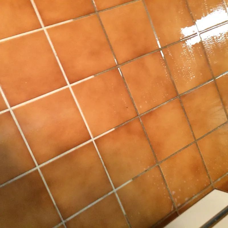 Carpet, Upholstery & Tile Cleaning