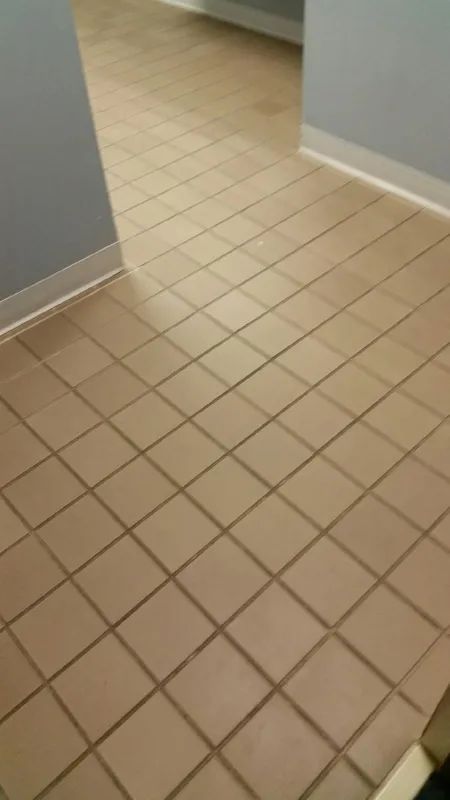 Carpet, Upholstery & Tile Cleaning