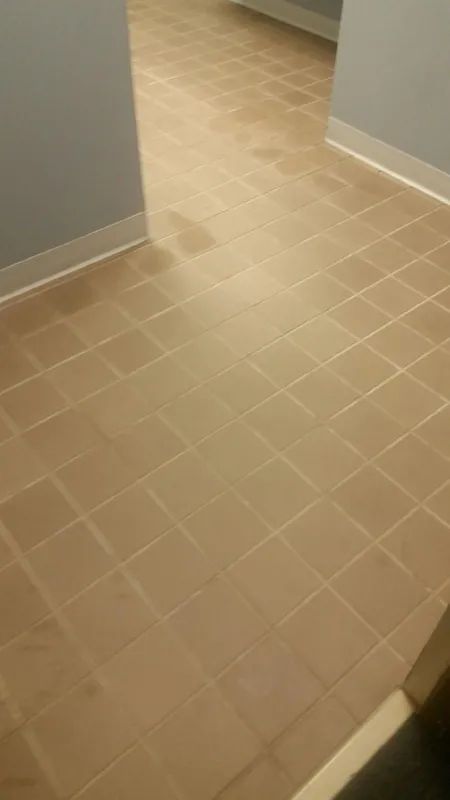 Carpet, Upholstery & Tile Cleaning