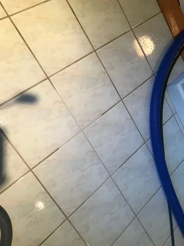 Carpet, Upholstery & Tile Cleaning